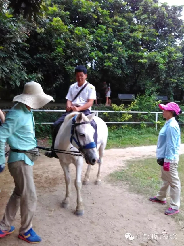 ���ҷ���׌��������á�2015��B�T�м�����(ji��)�����