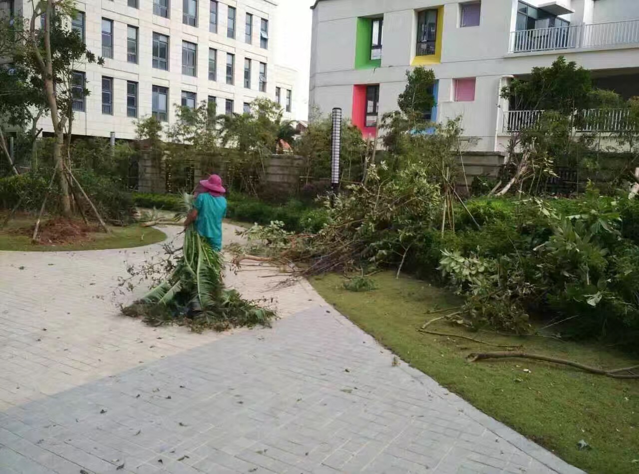 �B�T������˾������(z��i)���ؽ��x�����(d��ng)