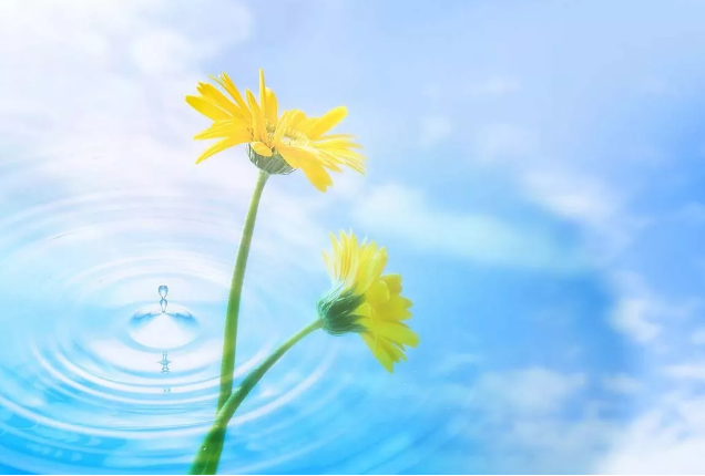 2018經典最新感說說,適合做個性簽名!